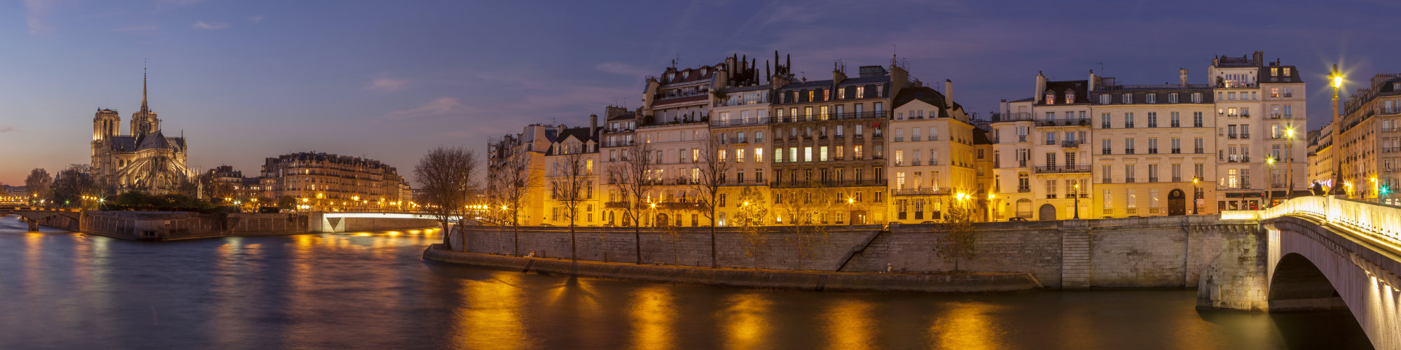 avocat litige informatique